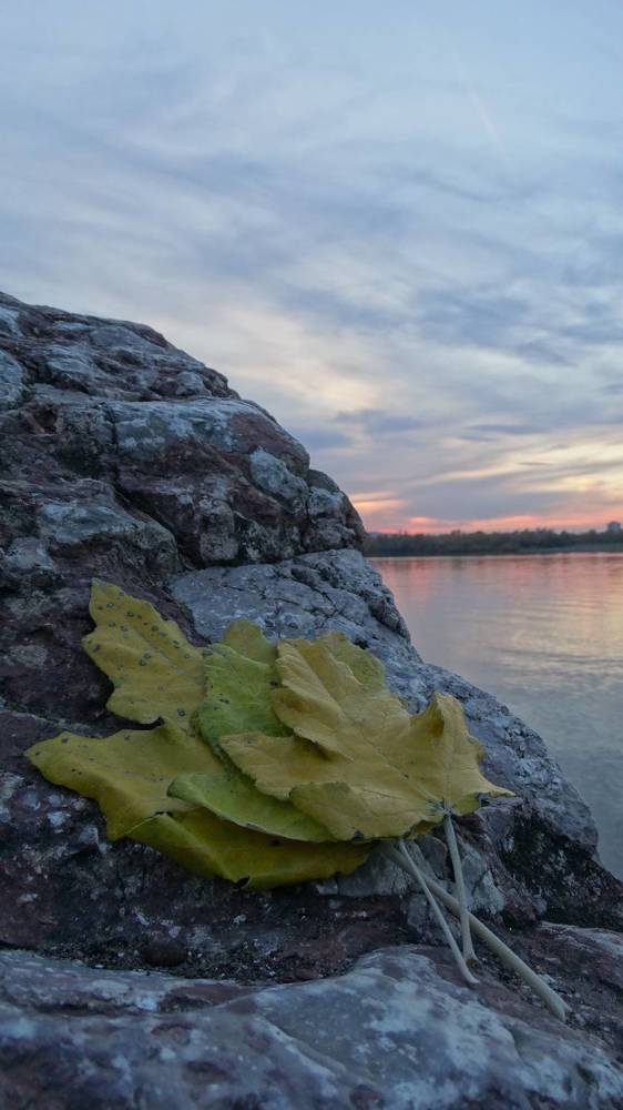 Photograph by Данил Фадеев