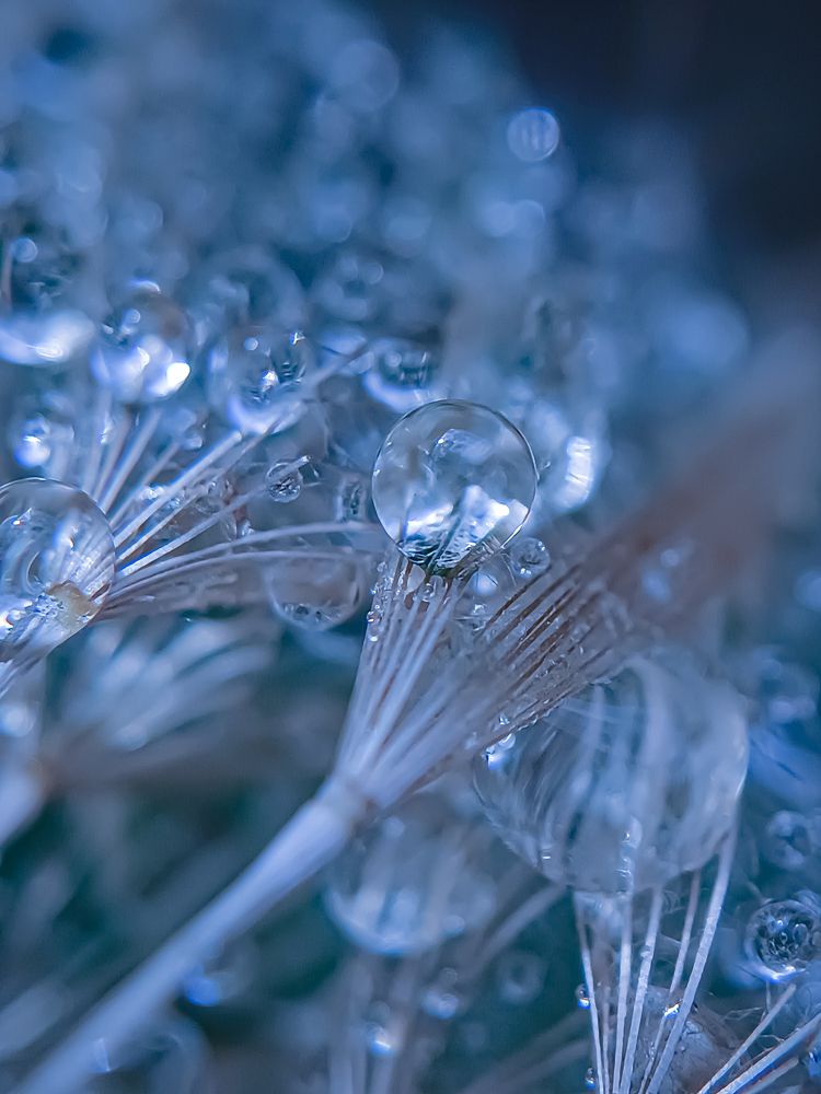 Кислород в лёгких