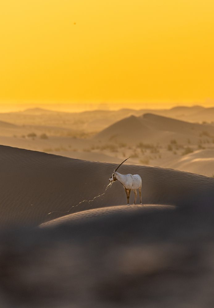 Photograph by Zubair Irshad