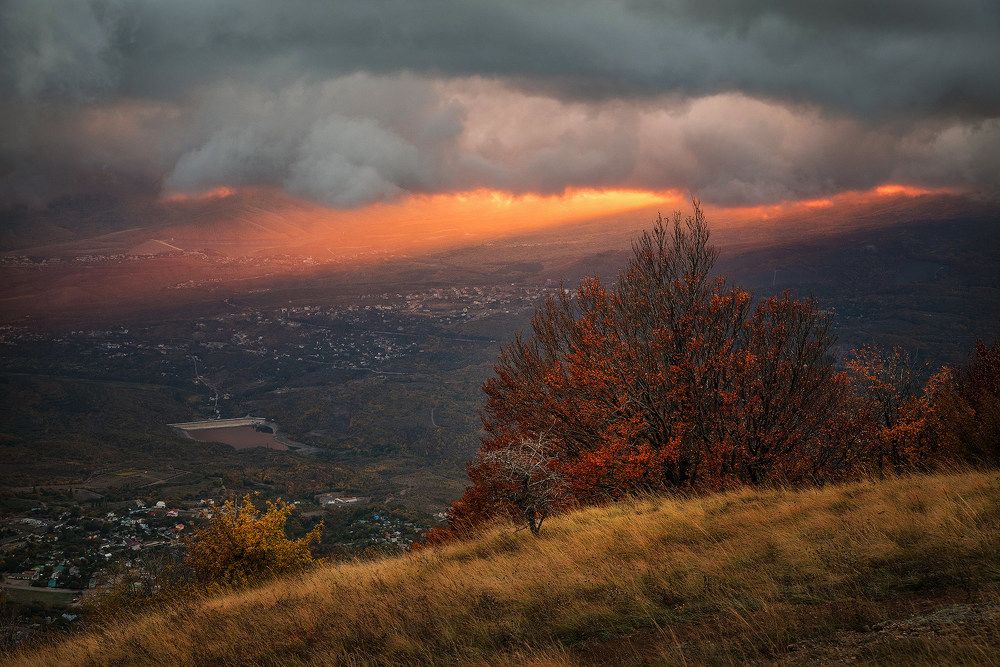 Photograph by Гордейко Анна