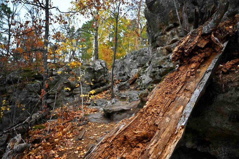 Photograph by Александр Беляков