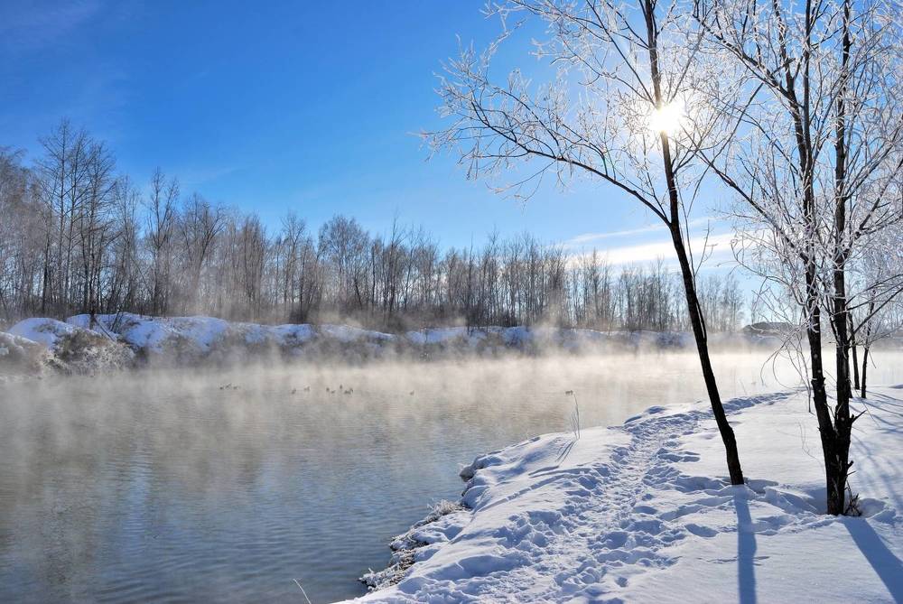 Photograph by Карпенко Александр