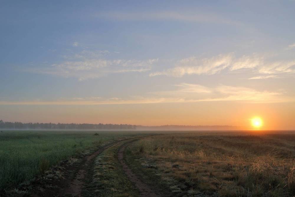 Photograph by Карпенко Александр