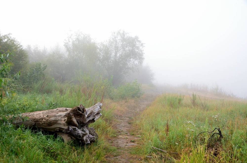 Photograph by Карпенко Александр
