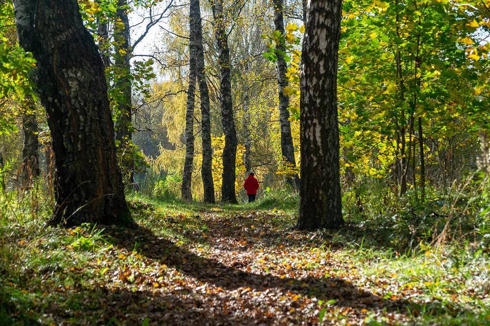 Фотография автора Наталья Липовская