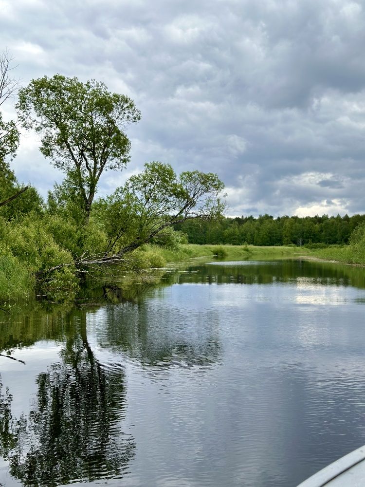 Photograph by Nataliya Mirkulenko