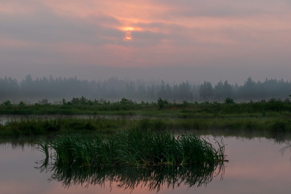 Photograph by Irina Luidinshina