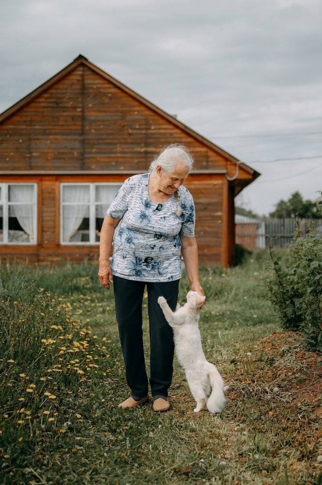 Photograph by Анастасия Лагунова