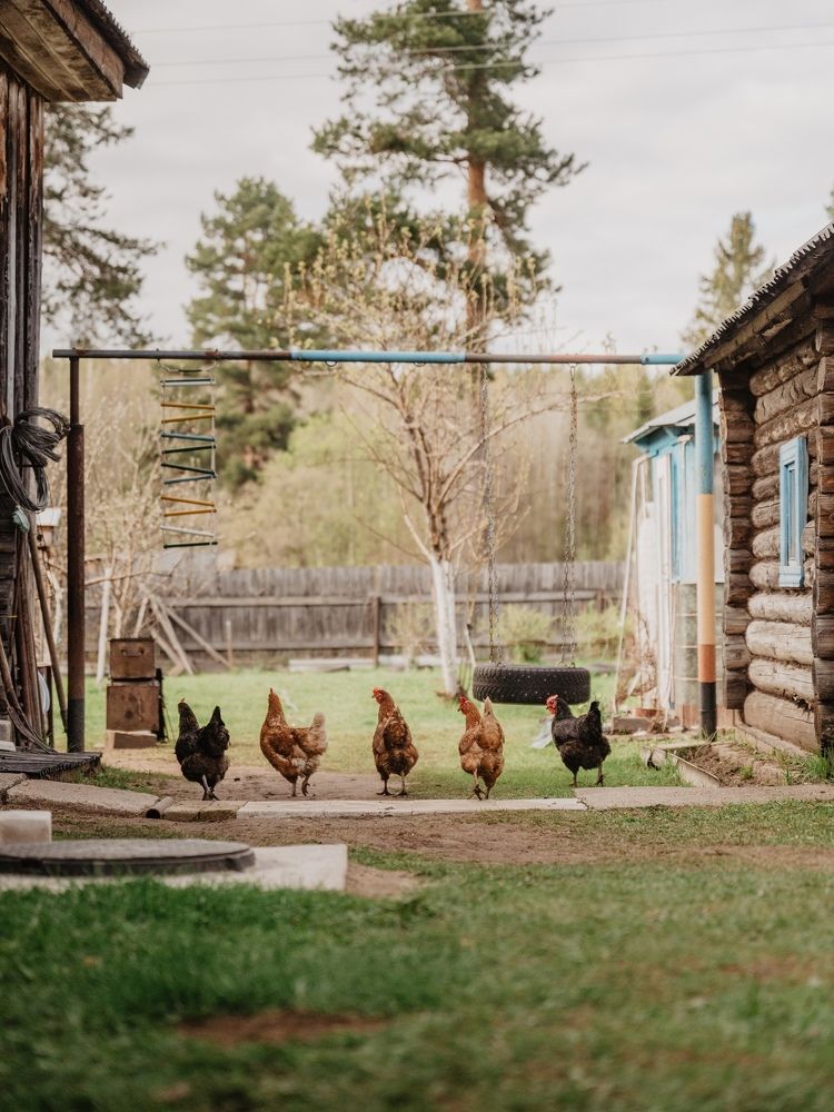 Photograph by Анастасия Лагунова