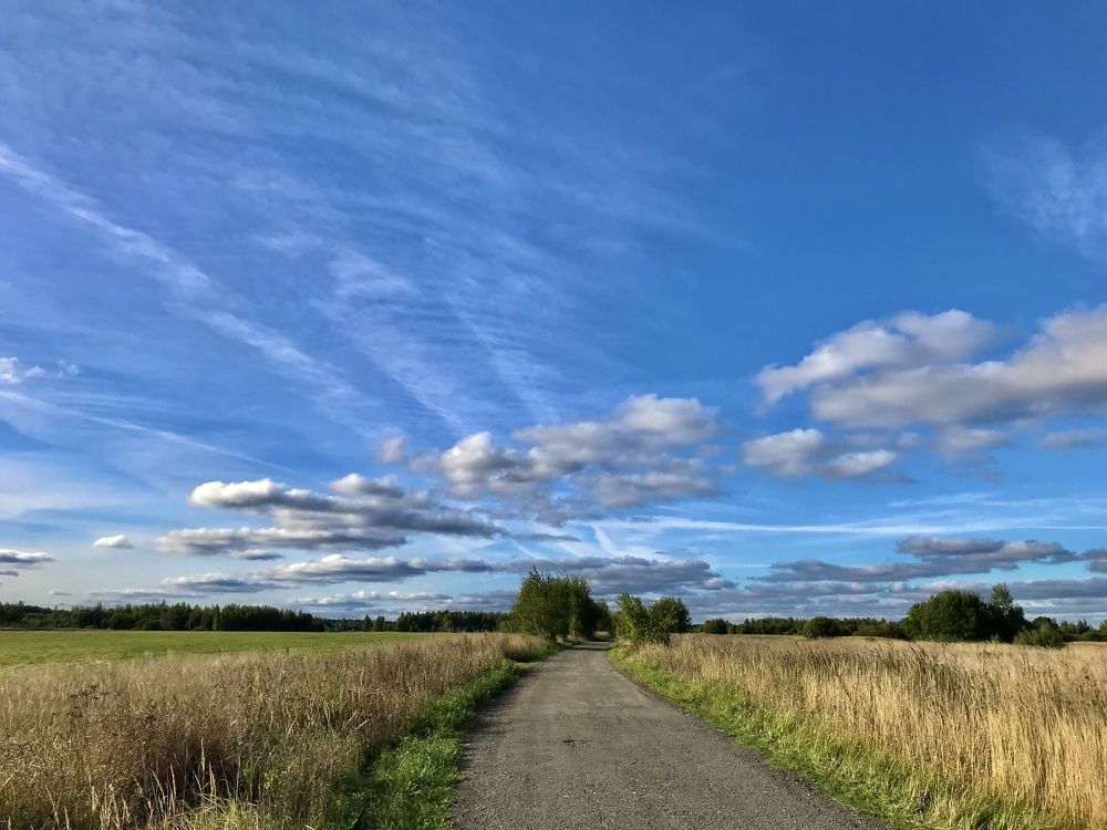 Photograph by Михаил Некрасов