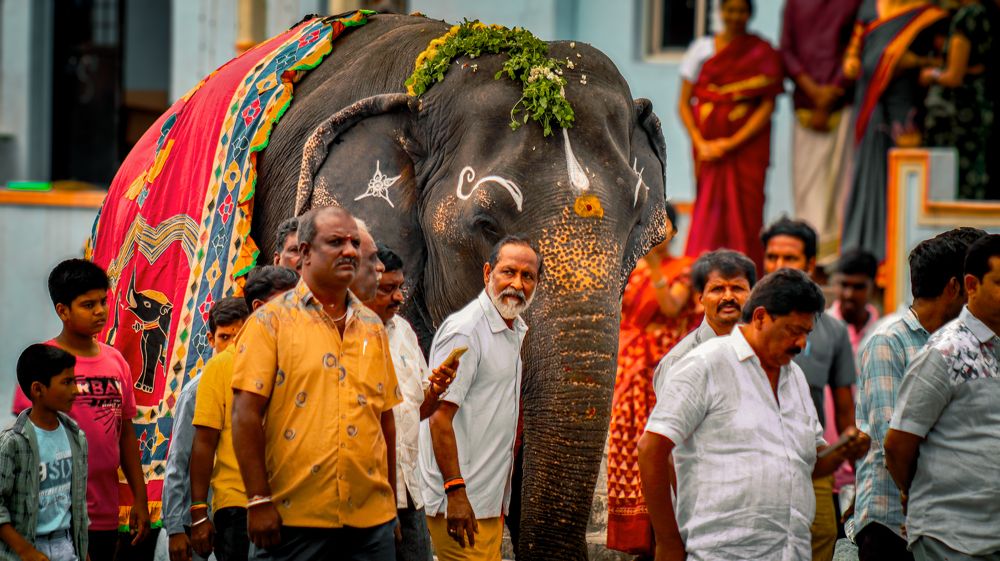 Photograph by Anurag Kashyap