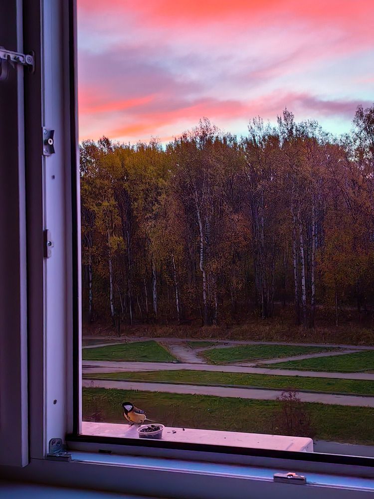 Photograph by Владимир Крылов