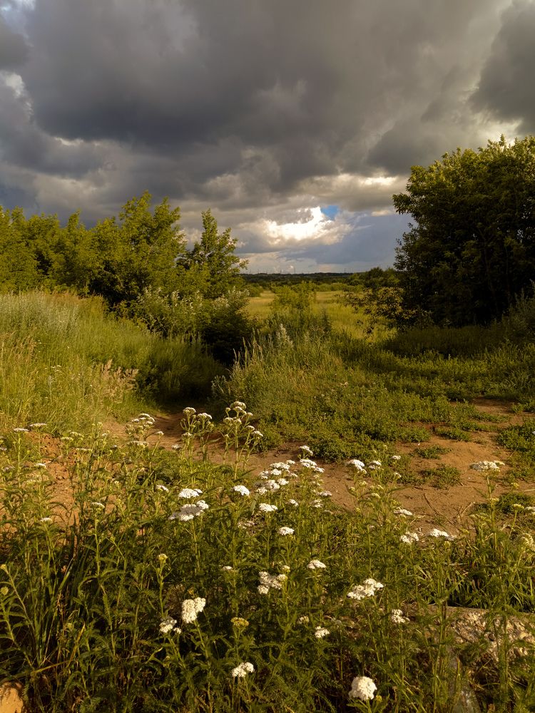 Фотография автора Ольга Кунакова