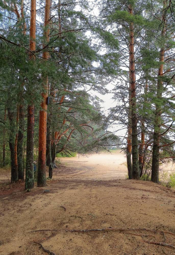 Фотография автора Ольга Кунакова