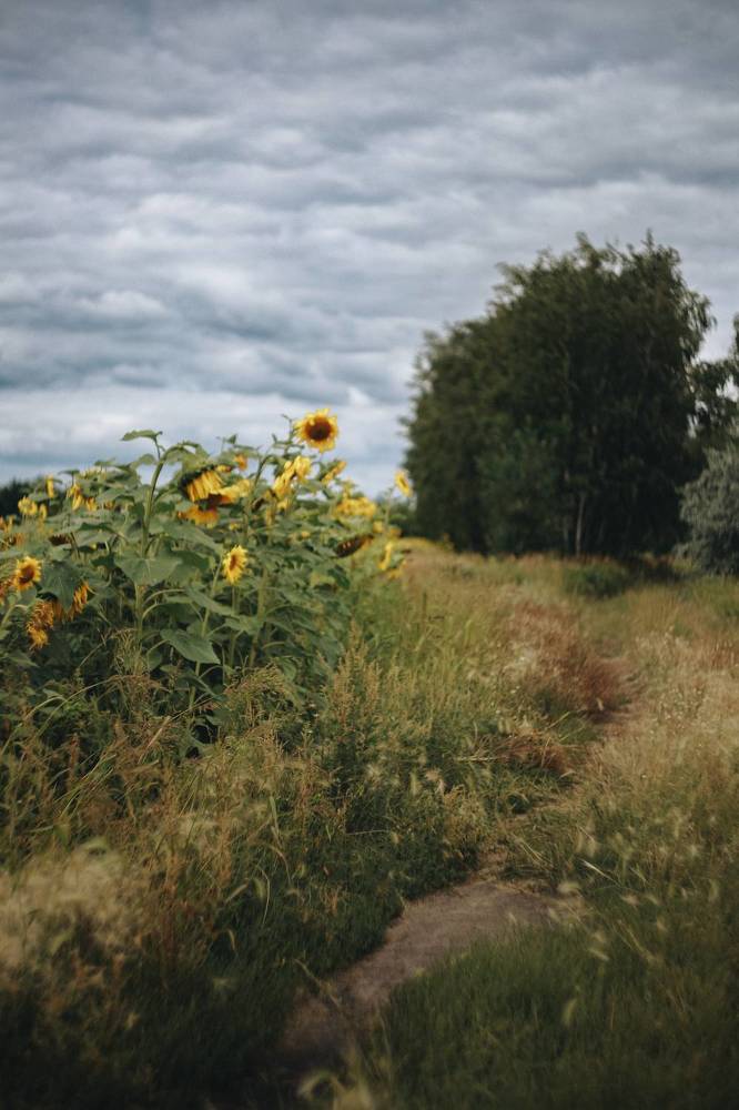 Photograph by Екатерина Богер