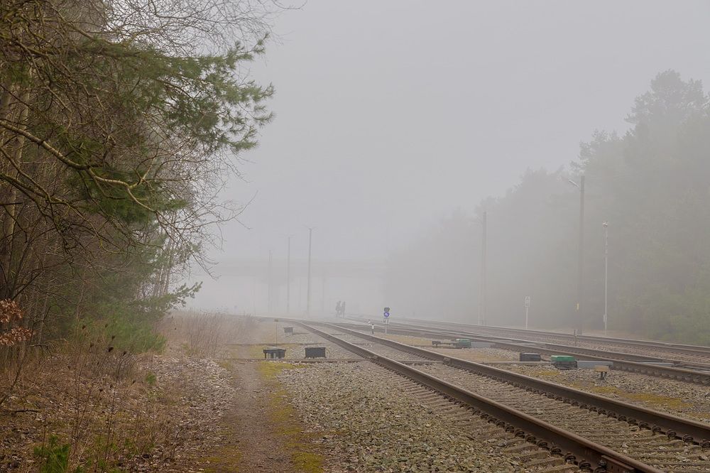 Photograph by Леонид Соболев