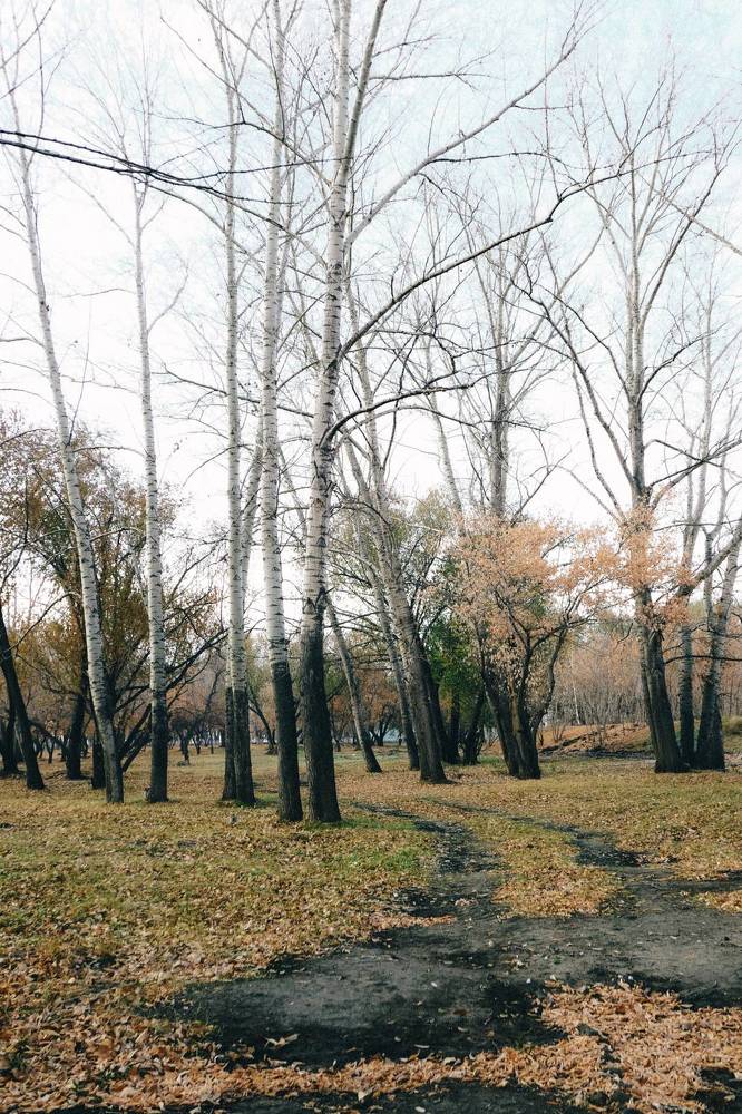 Photograph by Екатерина Богер