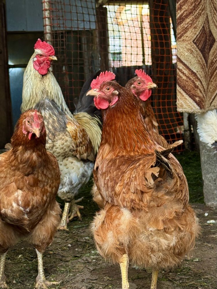 Photograph by Елена Смирнова