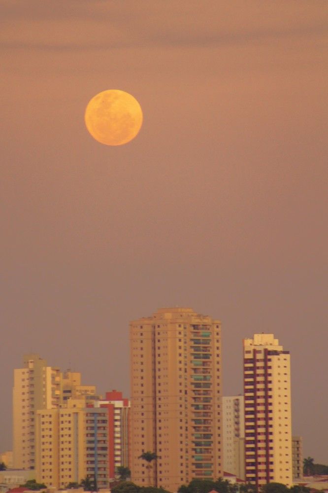 Photograph by Régis Santos