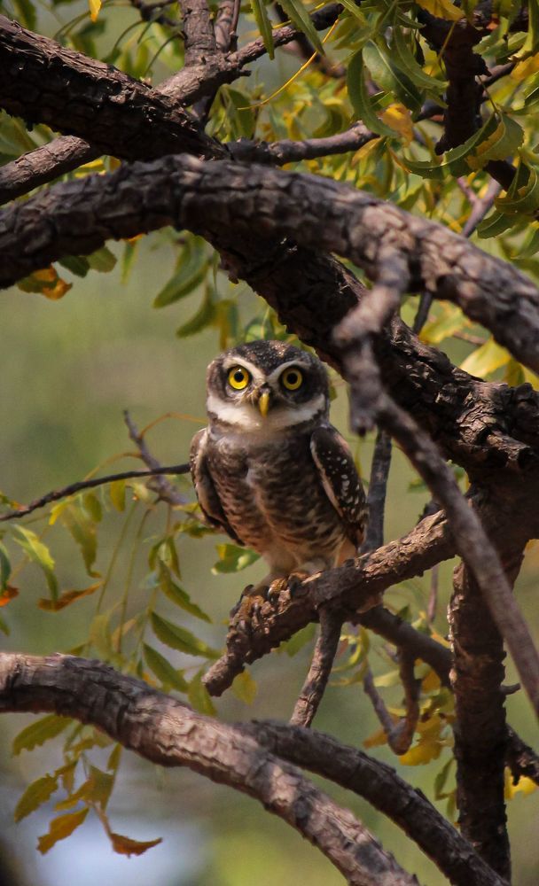 Photograph by Mathew Nishanth A