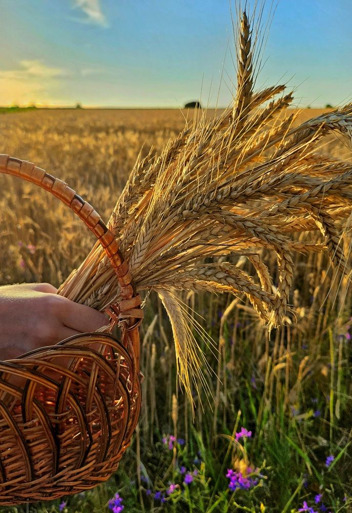 Фотография автора Natalia Cucias