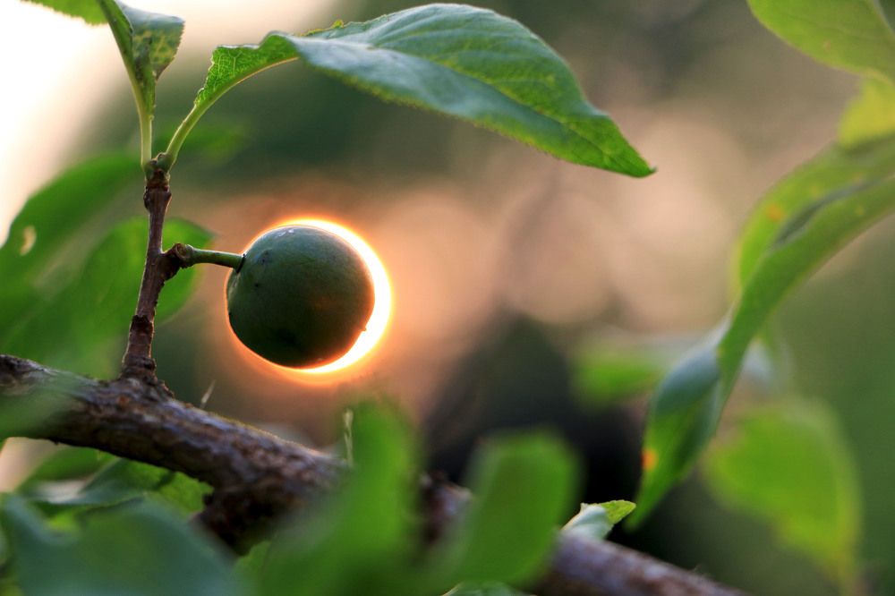 Photograph by Мария Корнилова