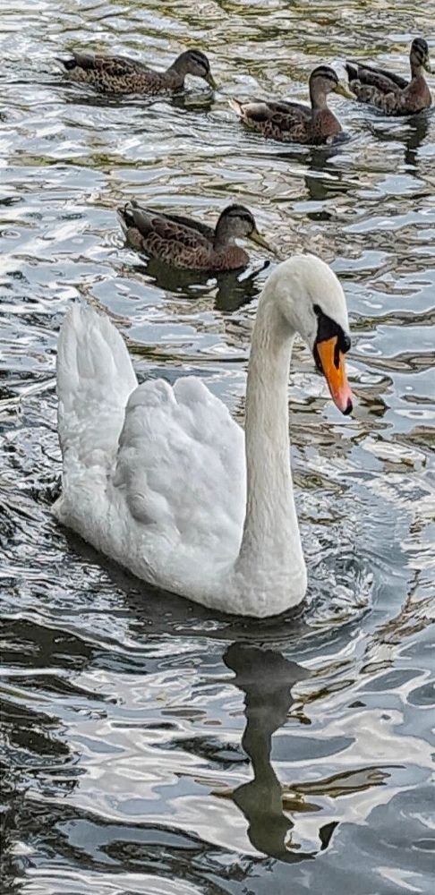 Photograph by Елена