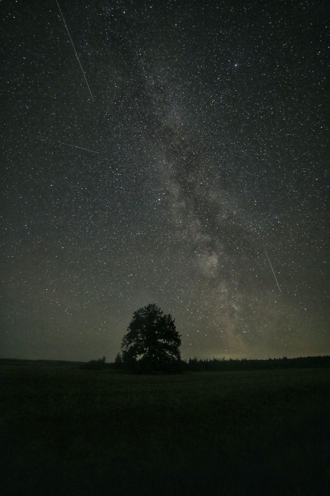 Photograph by Leanid Kulpo