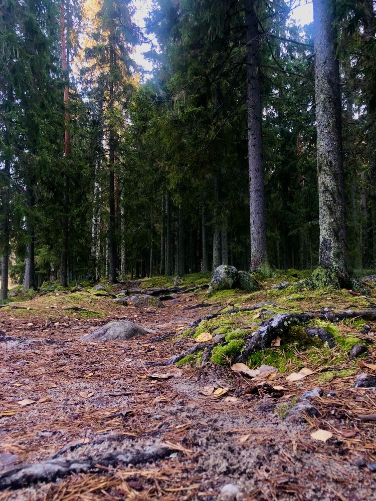 Photograph by Олеся Семёнова