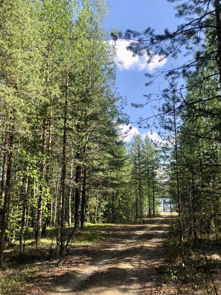 Photograph by Олеся Семёнова