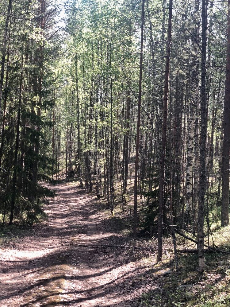 Photograph by Олеся Семёнова