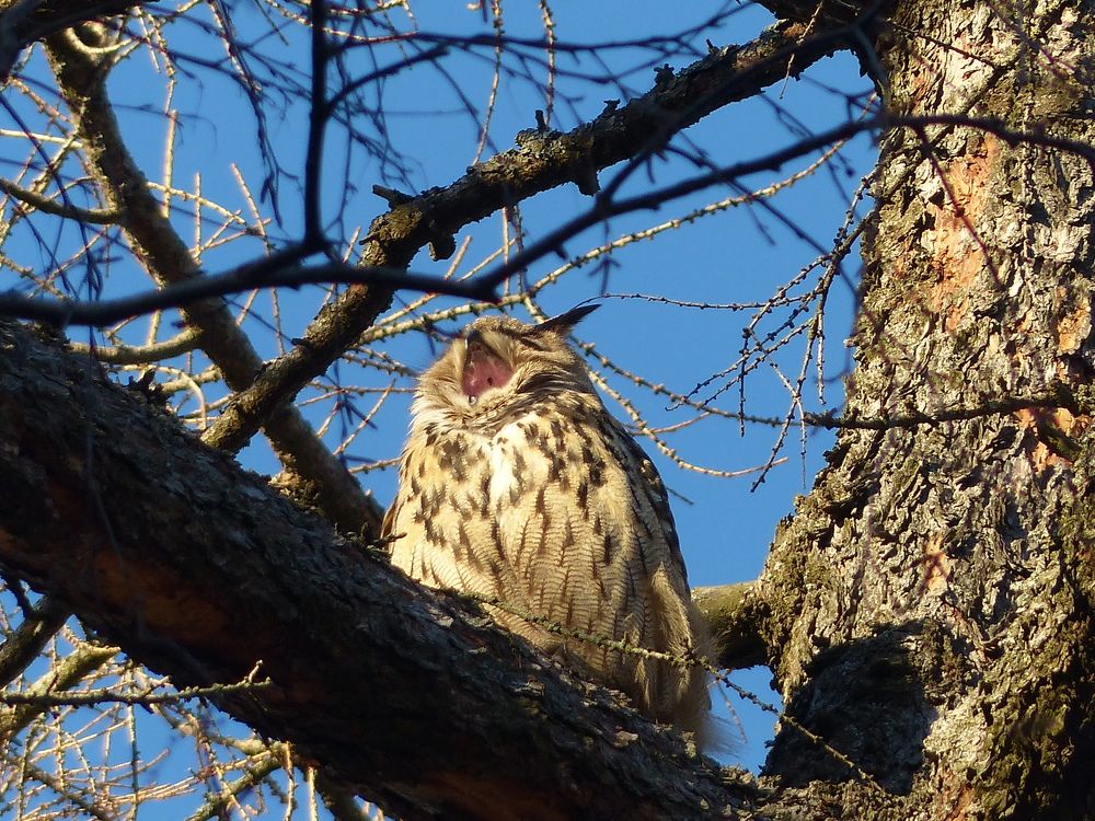 Photograph by Георгий Салюков