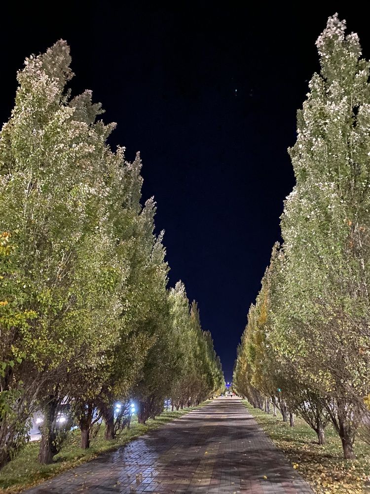 Фотография автора Meline Mikoyan