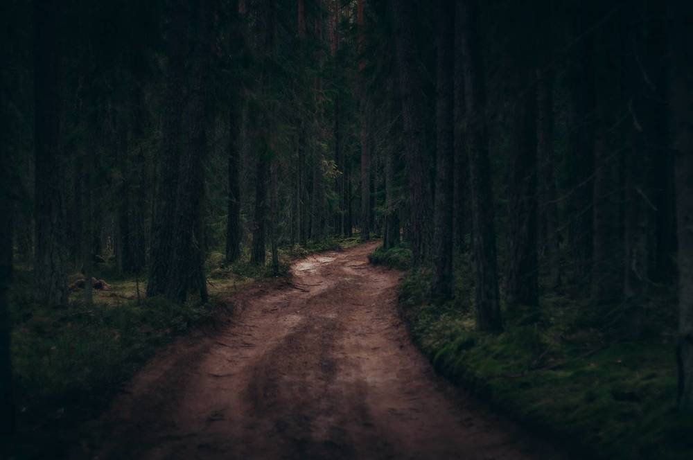 Photograph by Ольга Глущенко