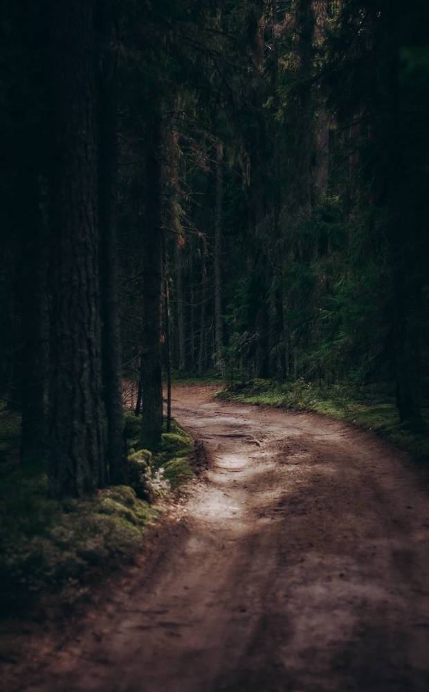 Photograph by Ольга Глущенко