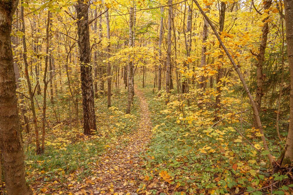 Photograph by Вячеслав Борисенко