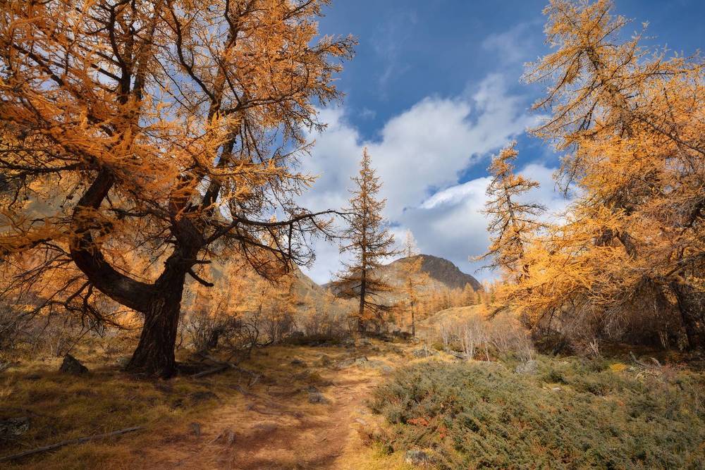 Photograph by Максимова Ольга