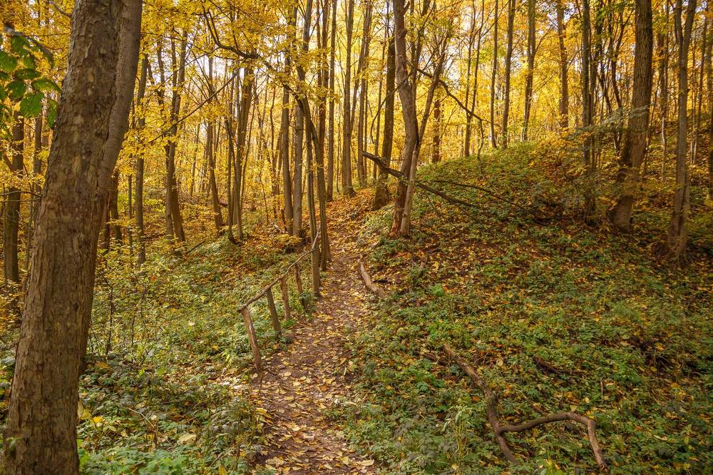 Photograph by Вячеслав Борисенко