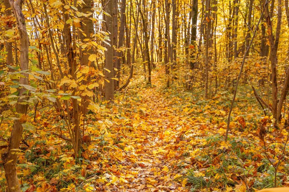 Photograph by Вячеслав Борисенко