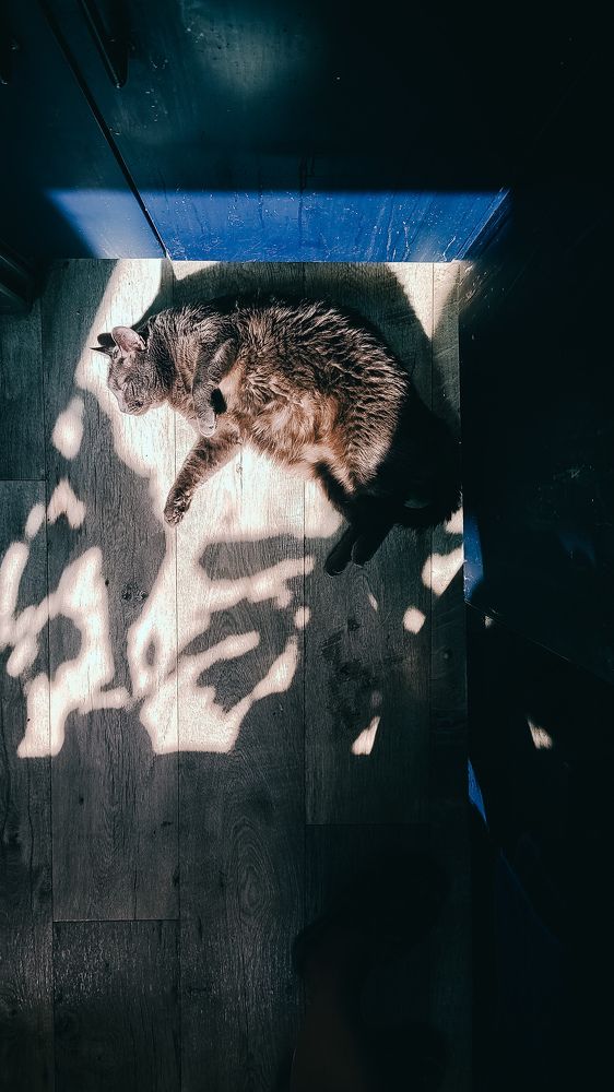 Photograph by Катерина Гущина