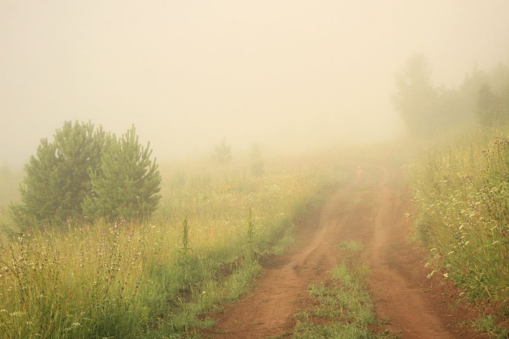 Утренний туман