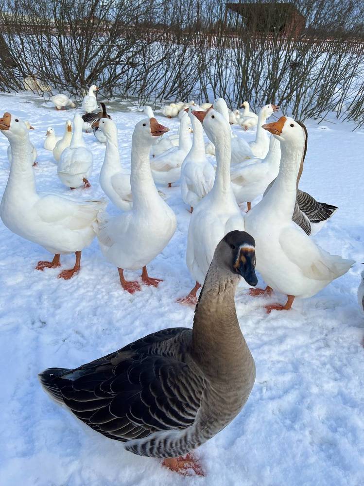 Один в толпе…