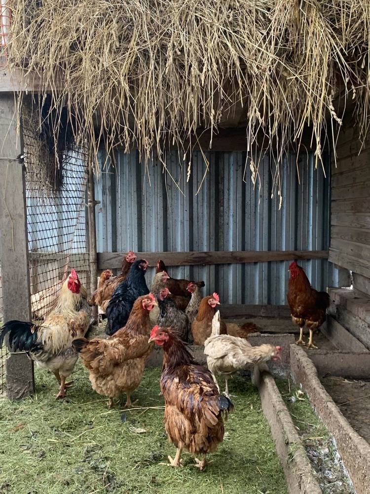 Photograph by Елена Смирнова