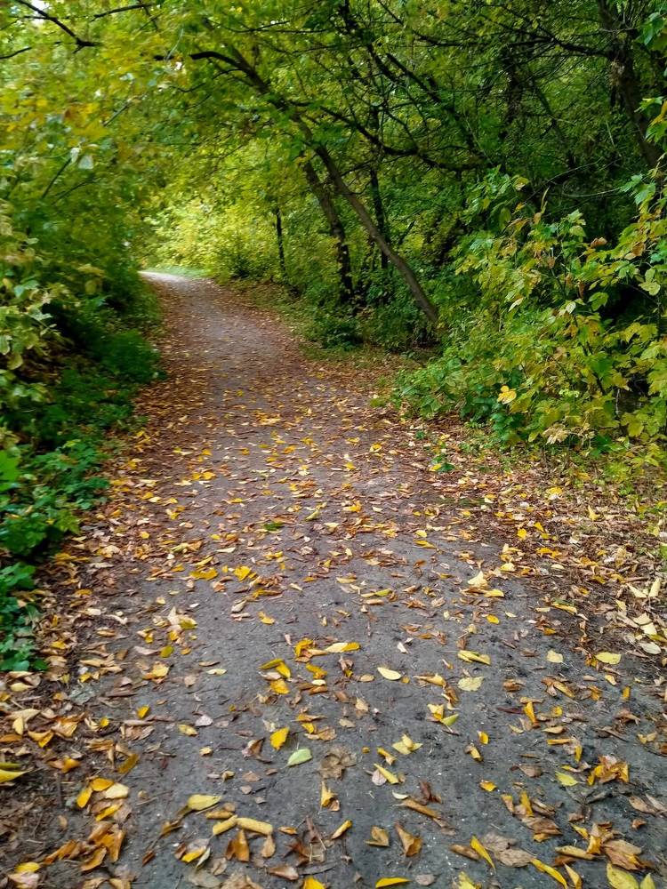 Фотография автора Светлана Анатольевна Чернышова