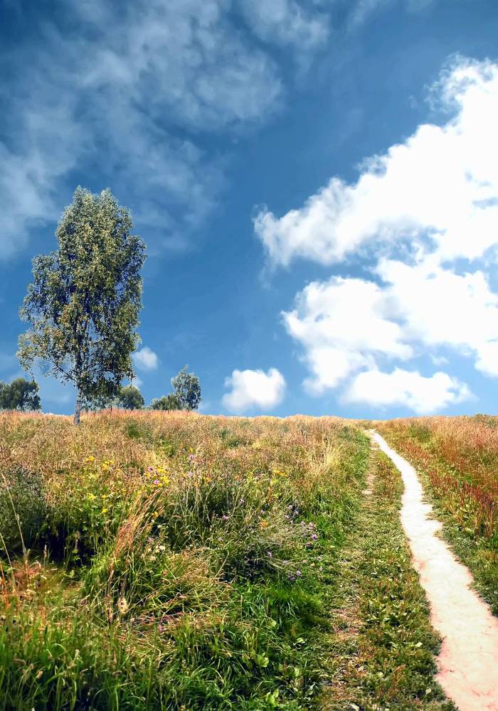 Photograph by Михаил Малец