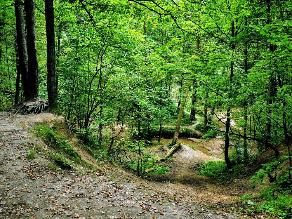 Photograph by Михаил Малец