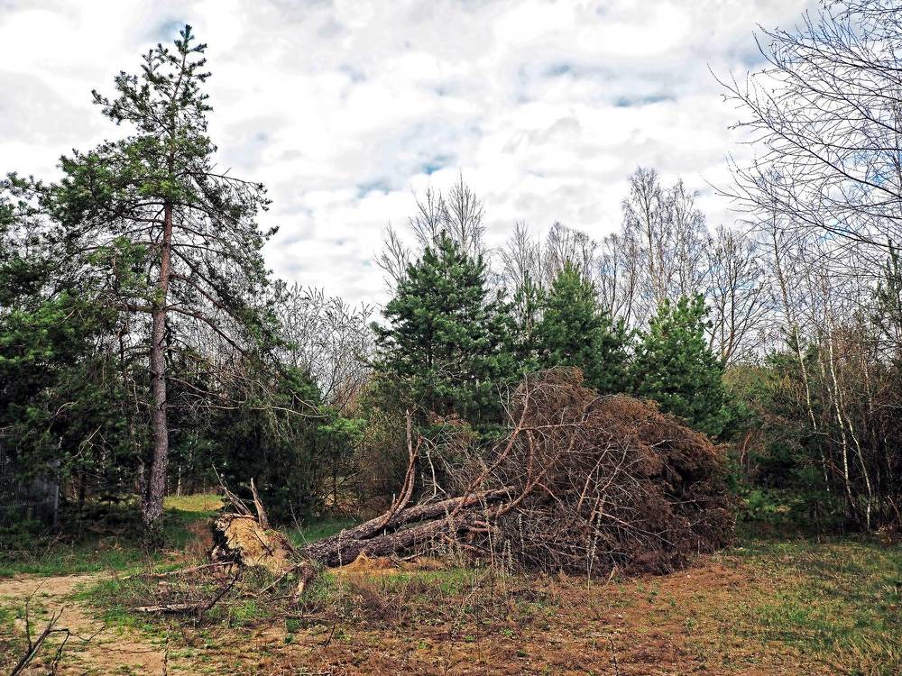 Photograph by Михаил Малец