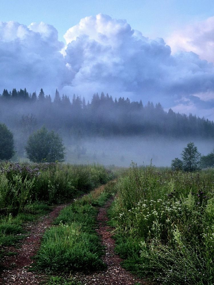 Photograph by Елена Титенская