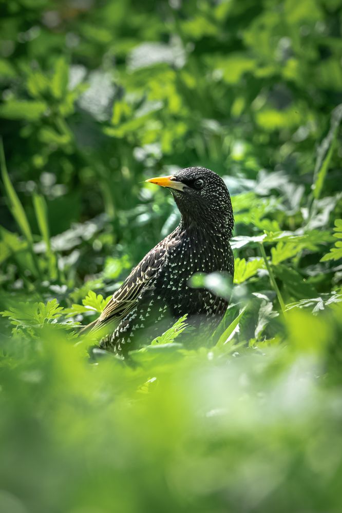 Photograph by Илья Горшенков