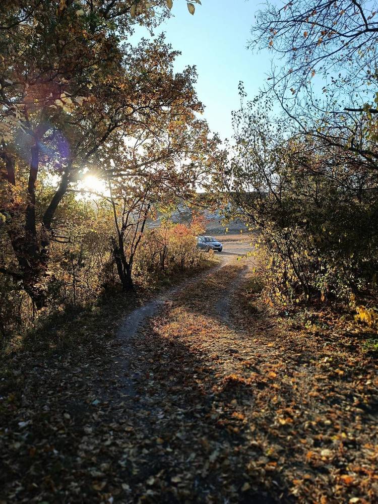 Фотография автора Светлана Анатольевна Чернышова